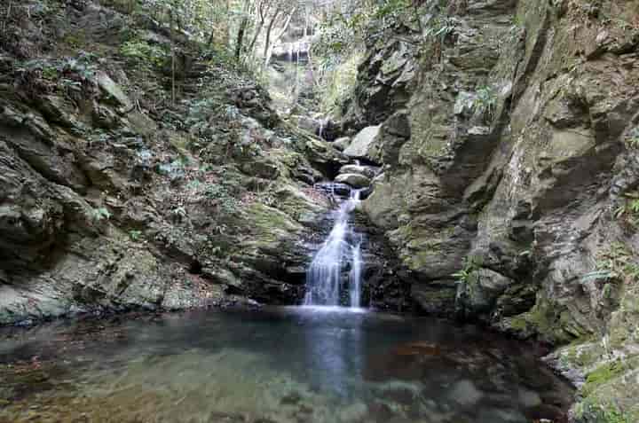 �����ܑ�E�Y���̑�